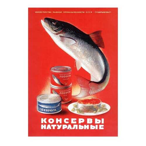 Плакат СТ-Диалог Консервы натуральные, СОВ-535, бумага, 40х60 см в Мосхозторг