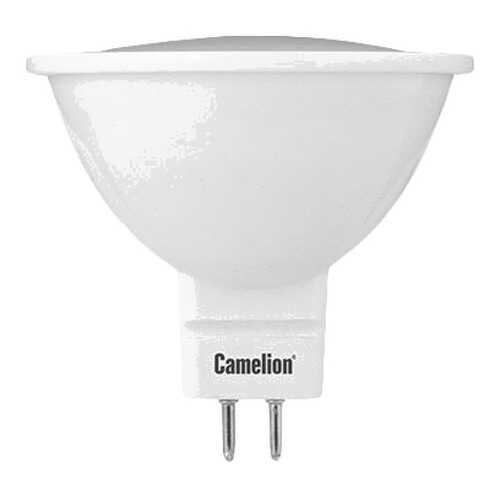 Светодиодная лампа Camelion BasicPower LED5-MR16/830/GU5.3 12025 Белый в Мосхозторг