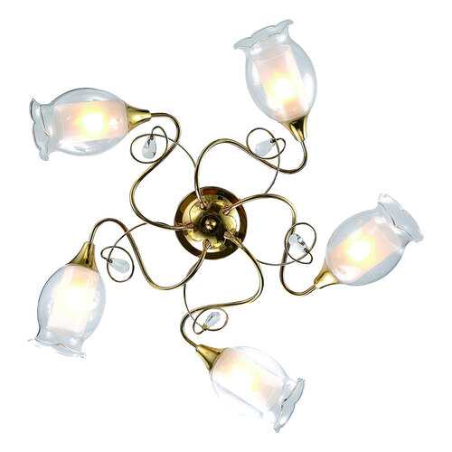 Люстра потолочная Arte Lamp A9289PL-5GO в Мосхозторг