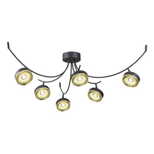 Люстра потолочная Odeon Light 3812/42CL в Мосхозторг