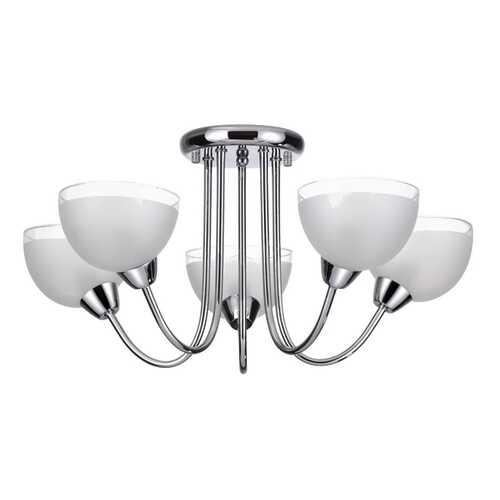 Потолочная люстра Lumion Alora 44615C в Мосхозторг